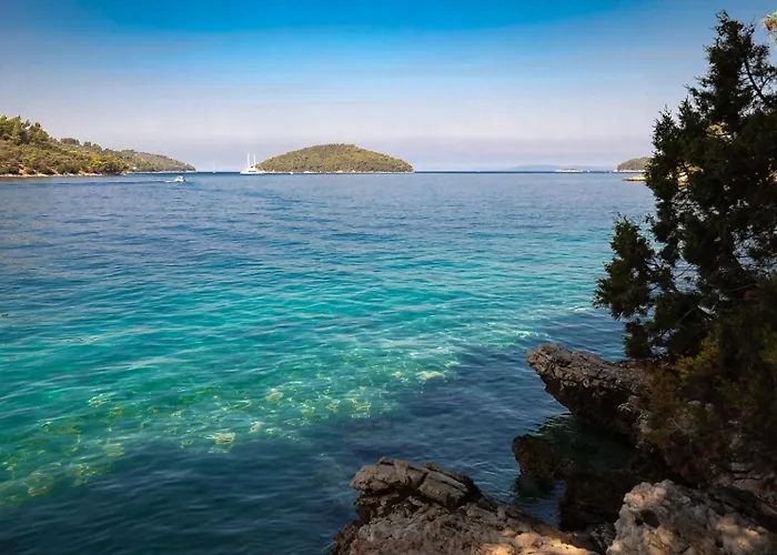 Zen's Garden Vela Luka